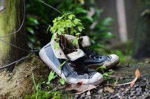 shoes, old, nature-5351149.jpg