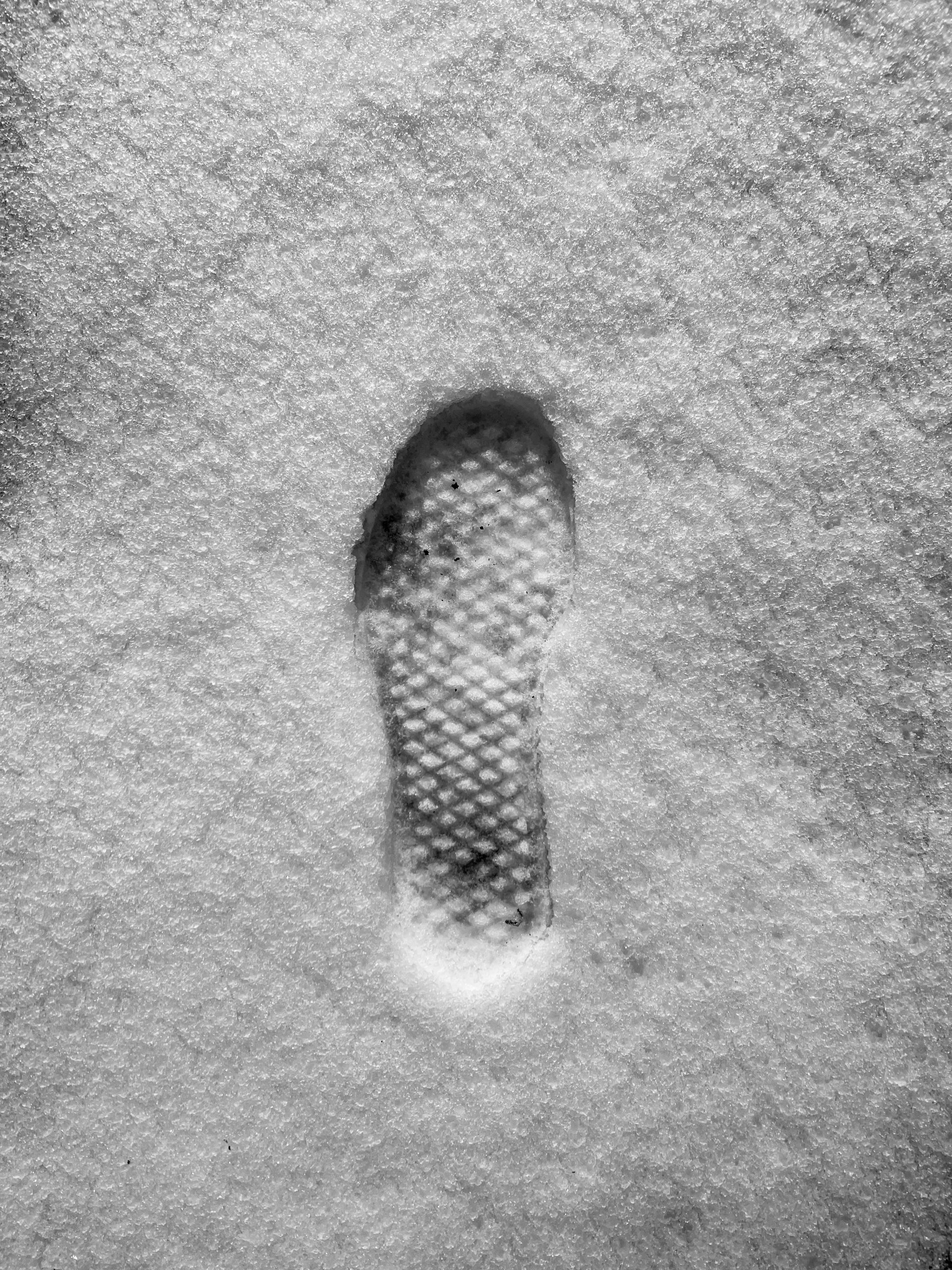 A-photographic-style-image-of-a-single-footprint-pressed-into-wet-sand-or-shallow-snow
