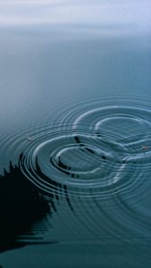 Concentric-ripples-meeting-and-merging-on-still-water