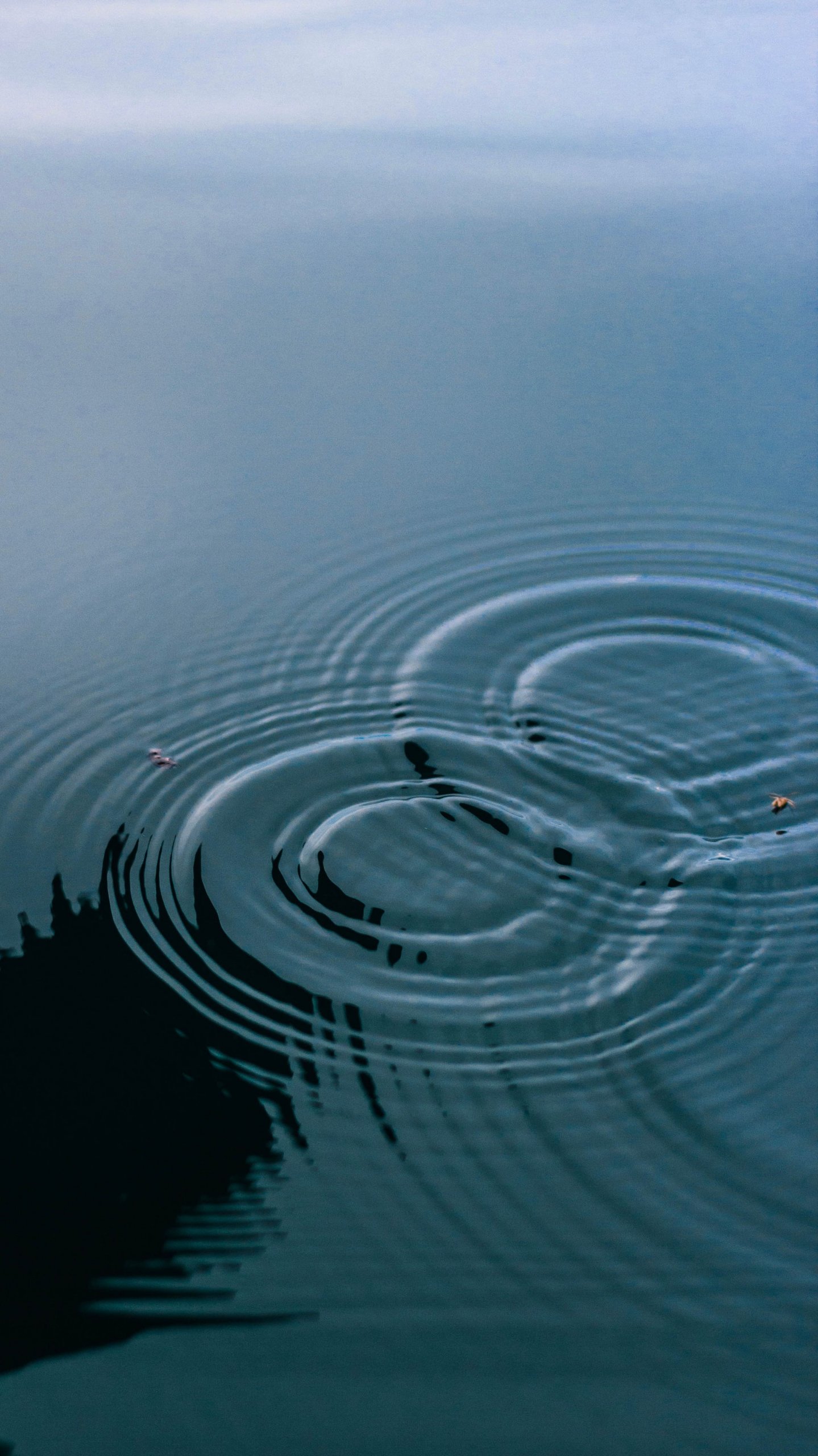 Concentric-ripples-meeting-and-merging-on-still-water