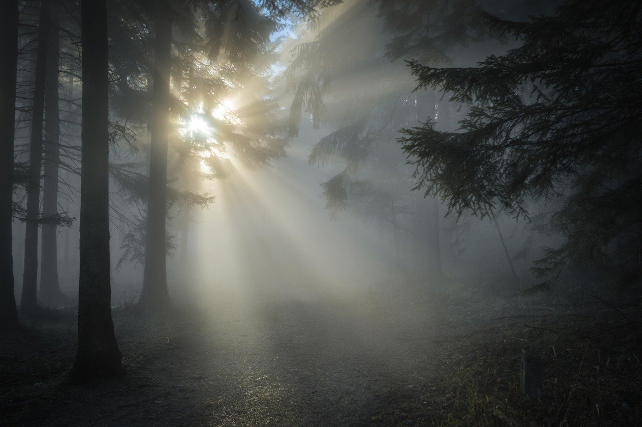 Sunlight-breaking-through-fog-over-a-valley