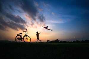 evolution-freedom-fun