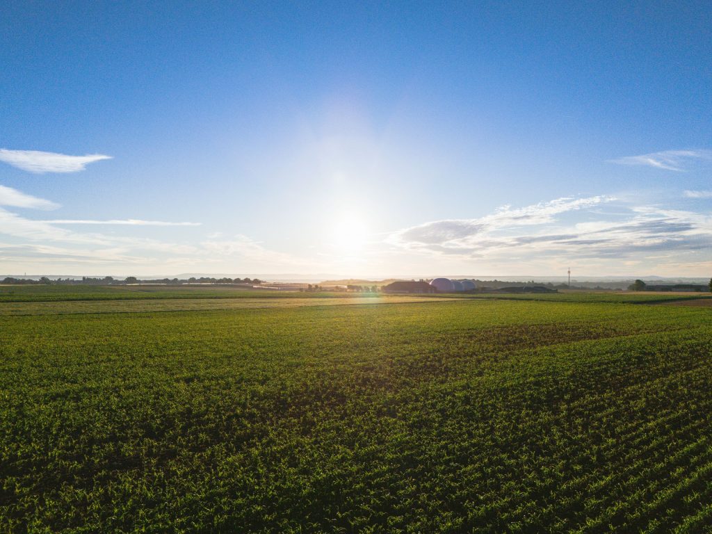 Morning-sun-rising-over-an-open-field-light-flooding-everything