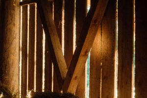 Sunlight-streaming-into-a-dark-barn-through-the-gaps-between-wall-boards