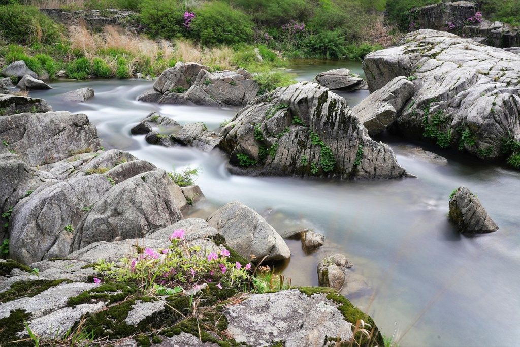 clear-stream-flowing-smoothly-around-stones