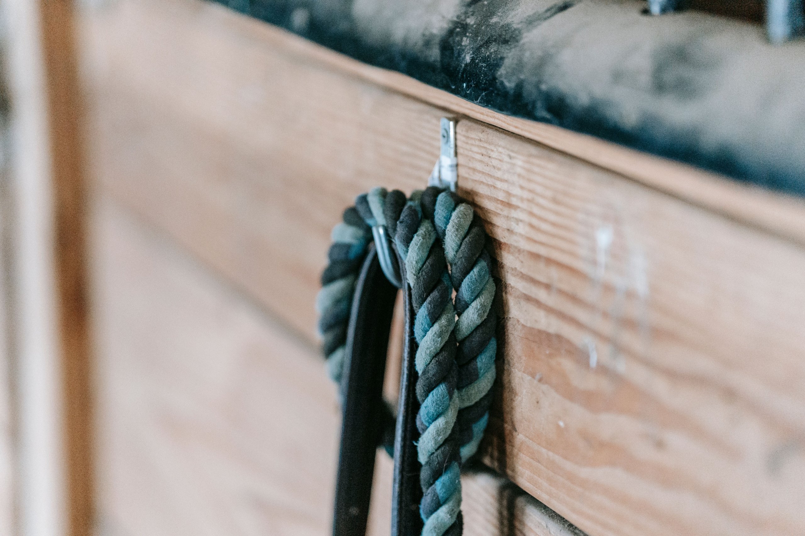 empty-dog-collar-and-lead-hanging-on-a-hook-by-a-door