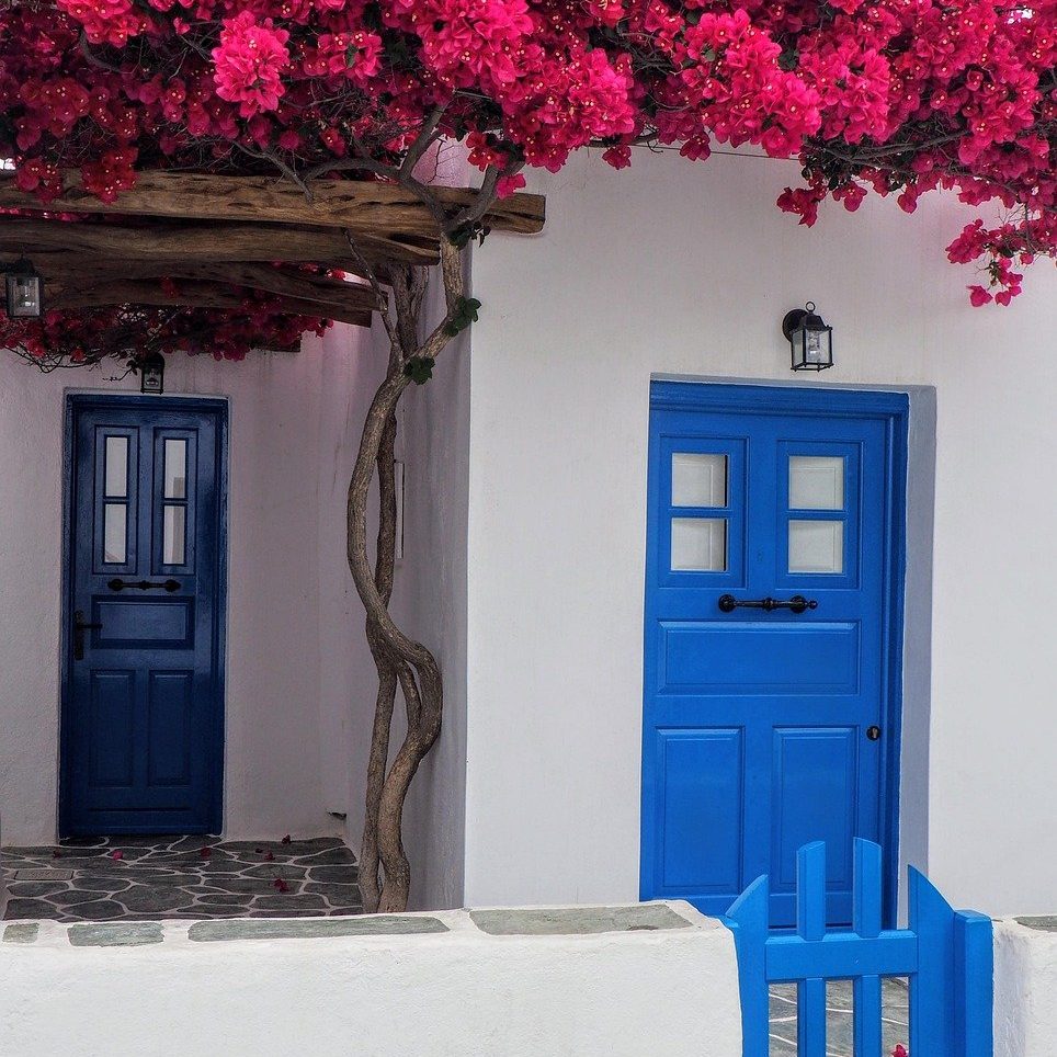 house doors and flowers
